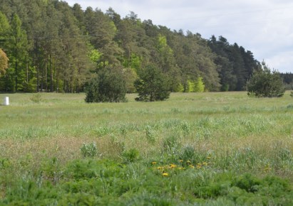 działka na sprzedaż - Łęczyce, Chmieleniec, Szkolna